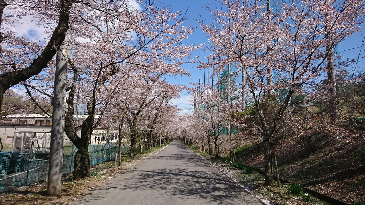 DSC_3893.JPG