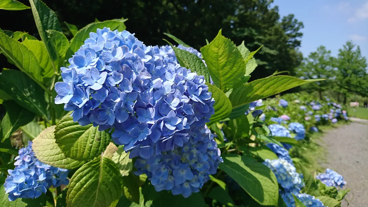 DSC_4644.JPG
