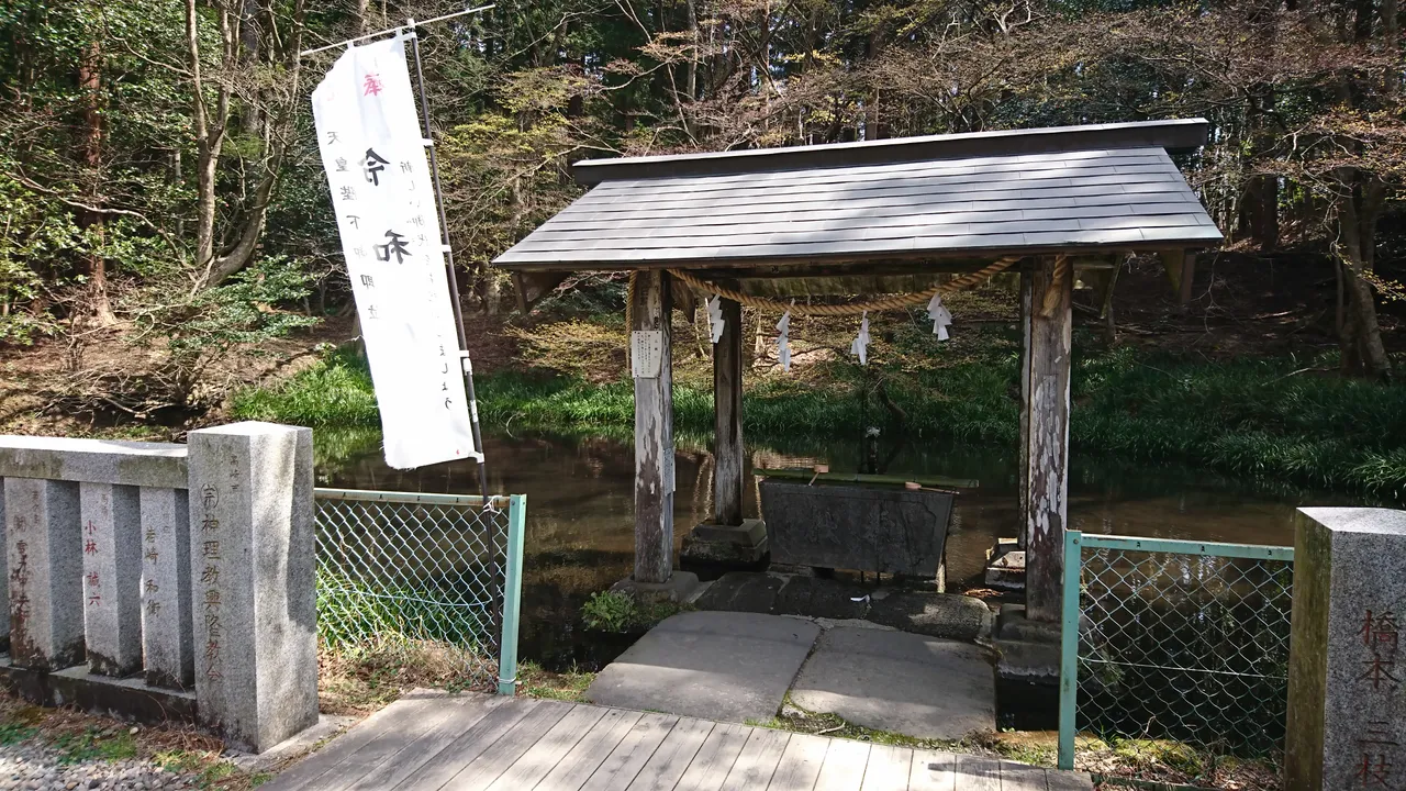 DSC_3781.JPG
