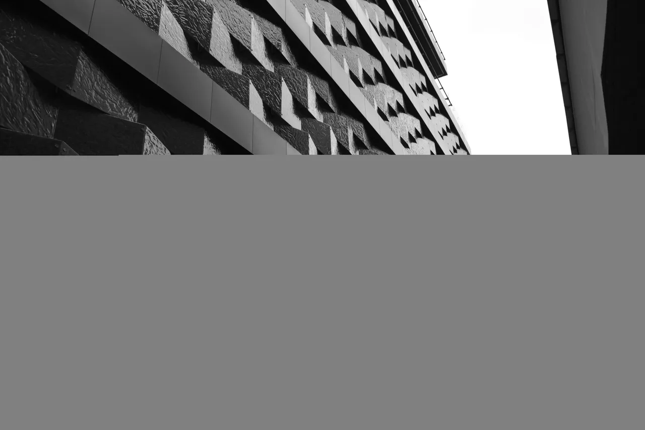CSC_0500.JPG