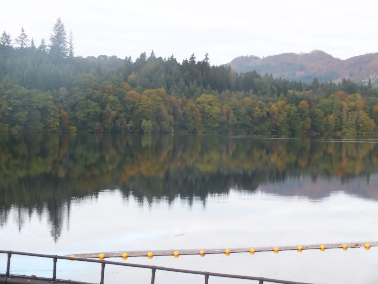 DSCF1114.JPG