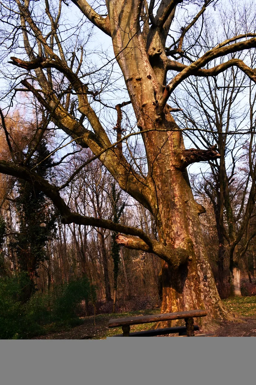DSC_0235.JPG