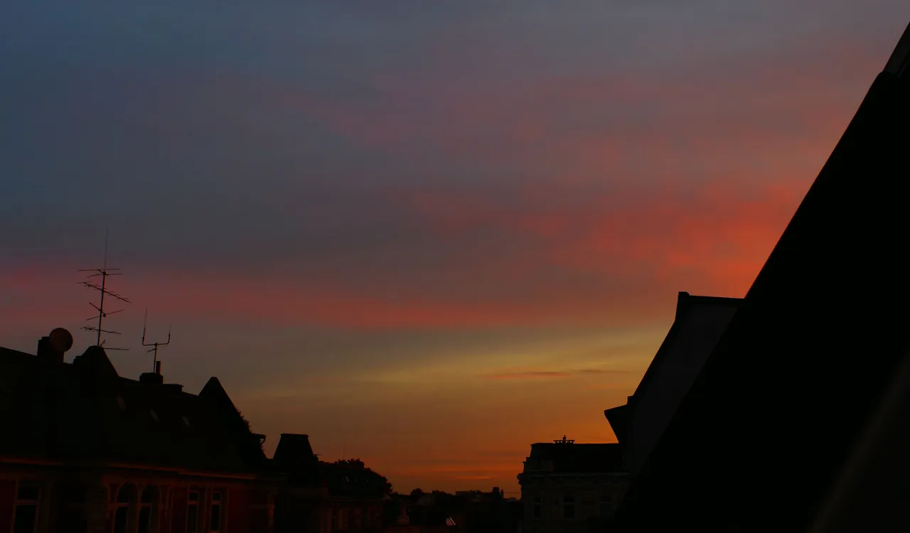KP_P2903.jpg