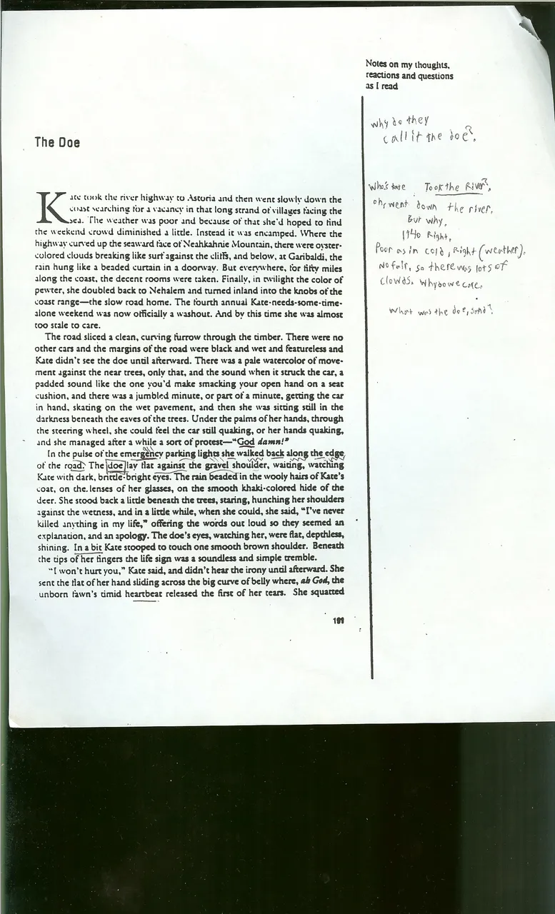 SCAN0146.JPG