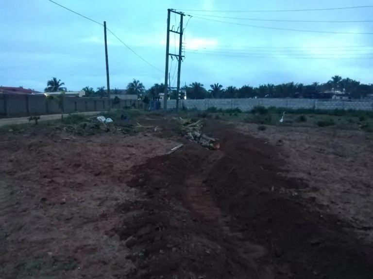Farm 9.jpg