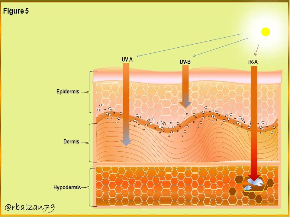 Figure_5.JPG