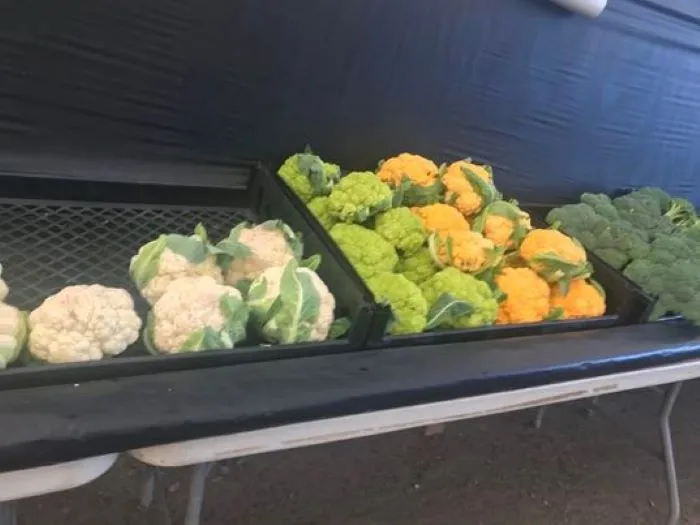 " " \" \" \\"veggies2.jpg\\"\"\"""