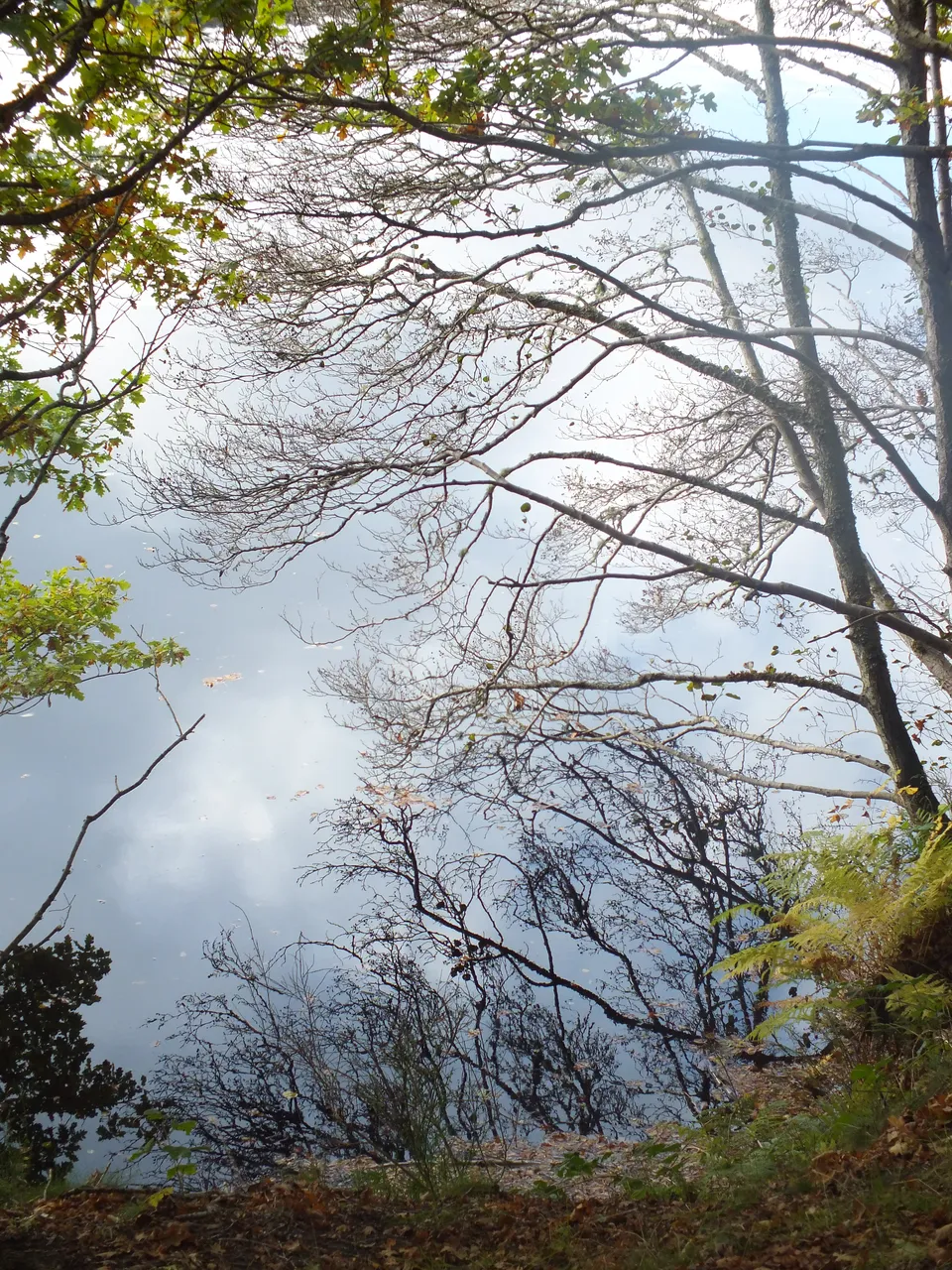 DSCF1148.JPG