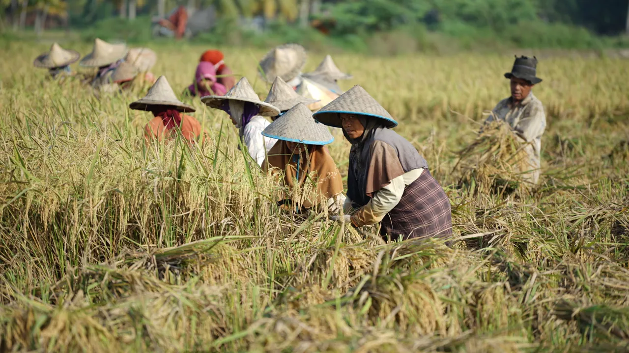 DSC01250.JPG