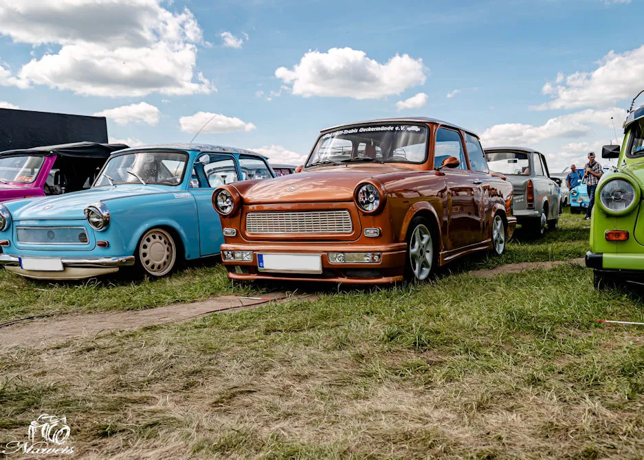 "DSC_6309.jpg"