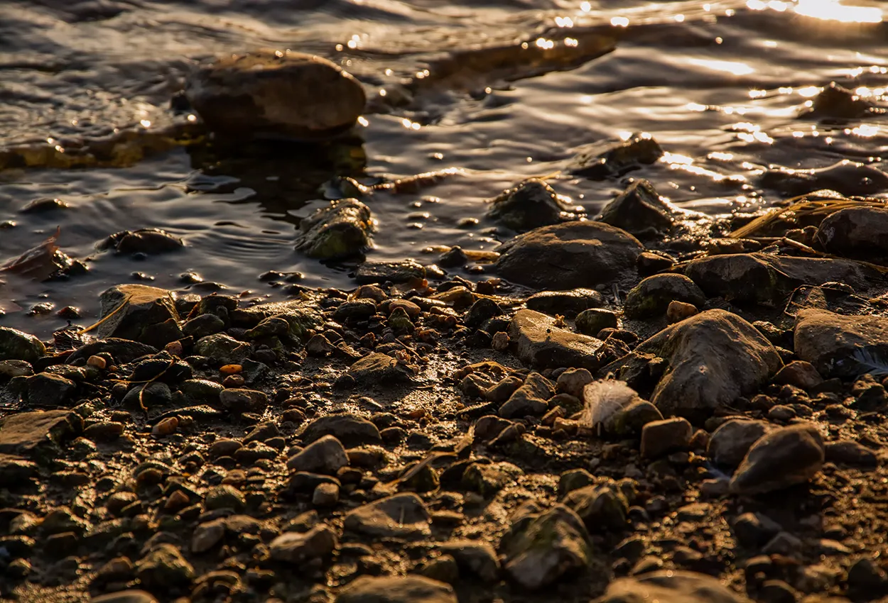 DSC_4075.jpg