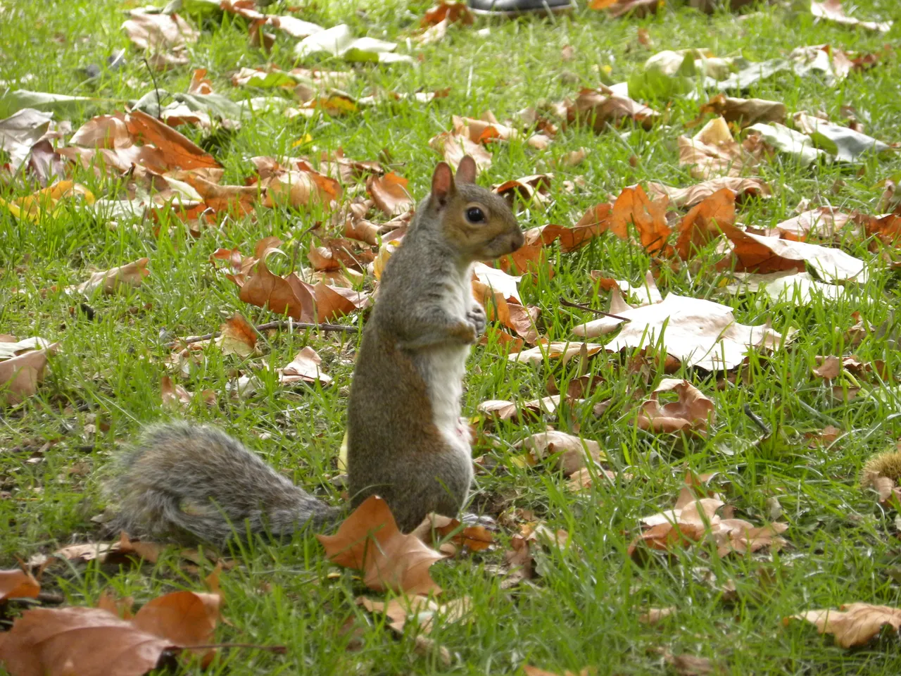 DSCN1462.JPG