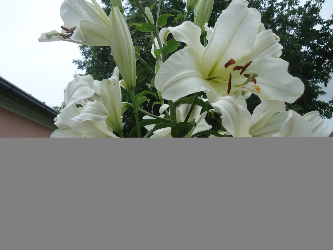 DSC01285.JPG