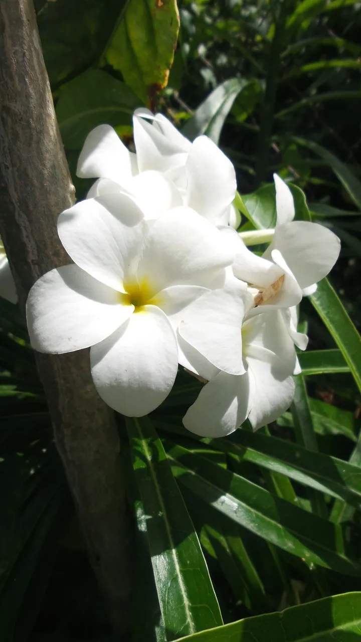 20201029.jpg