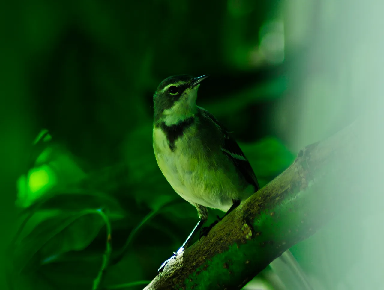 _DSC6237.JPG