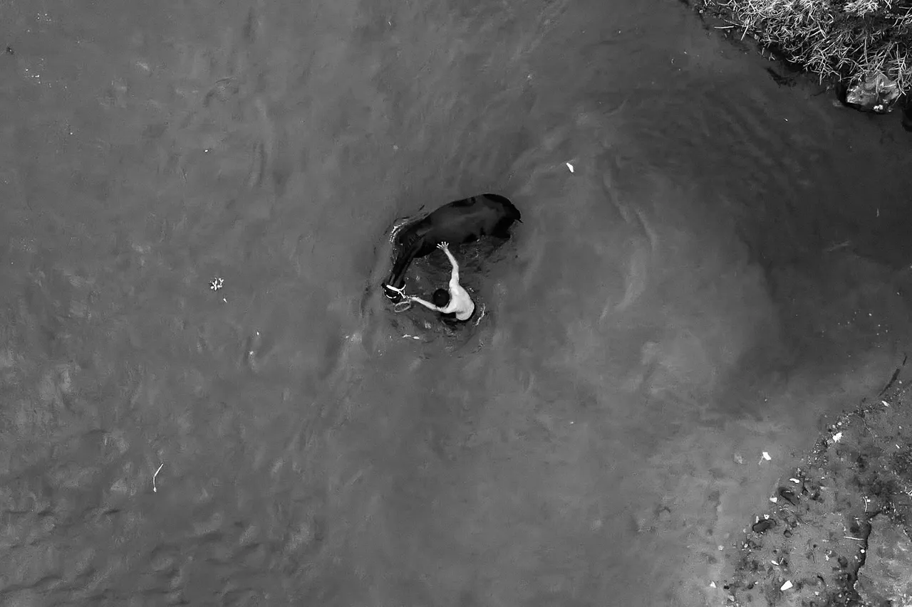 DJI_0005.JPG