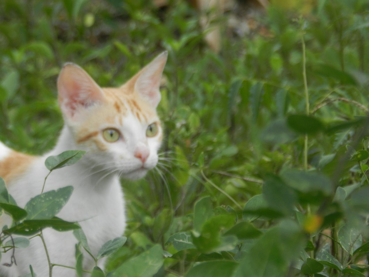 DSCN2658.JPG