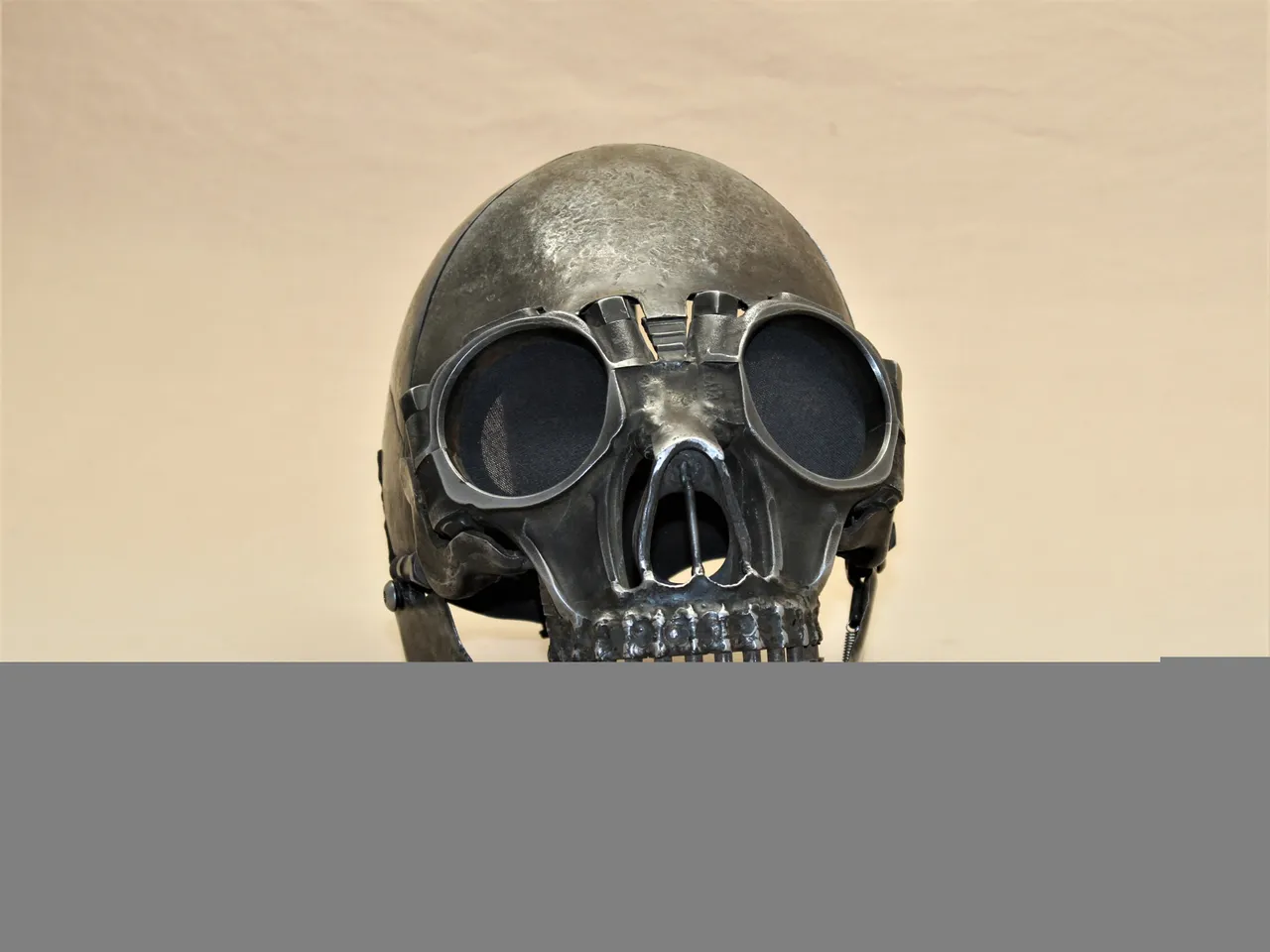 Skull2-1.JPG