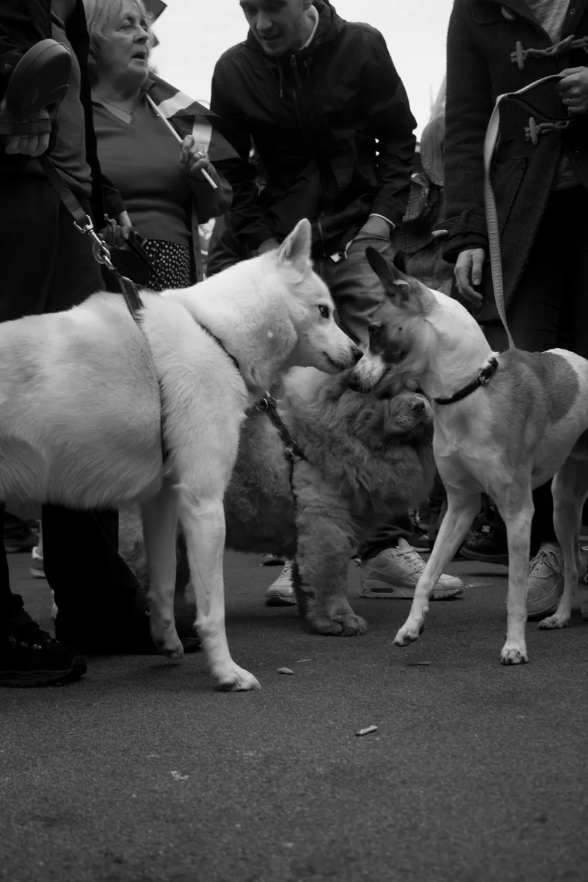_MG_1224.jpg