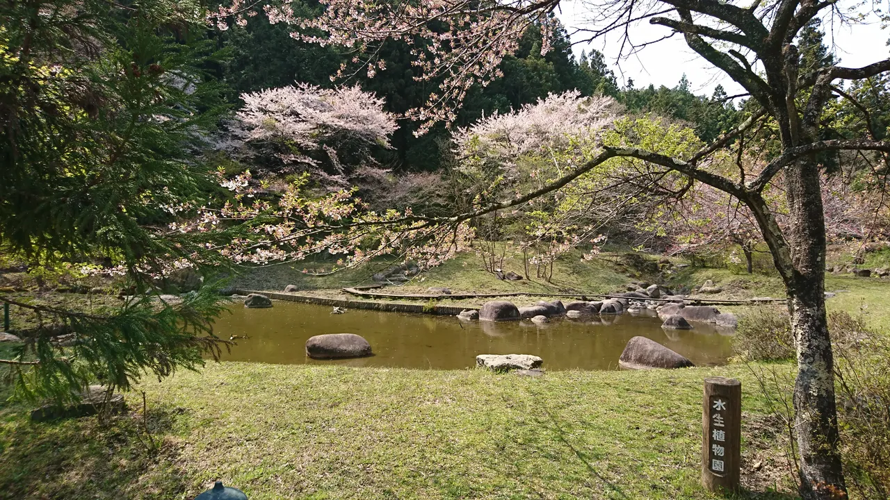 DSC_4215.JPG