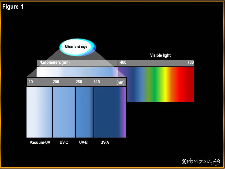 Figure_1.JPG