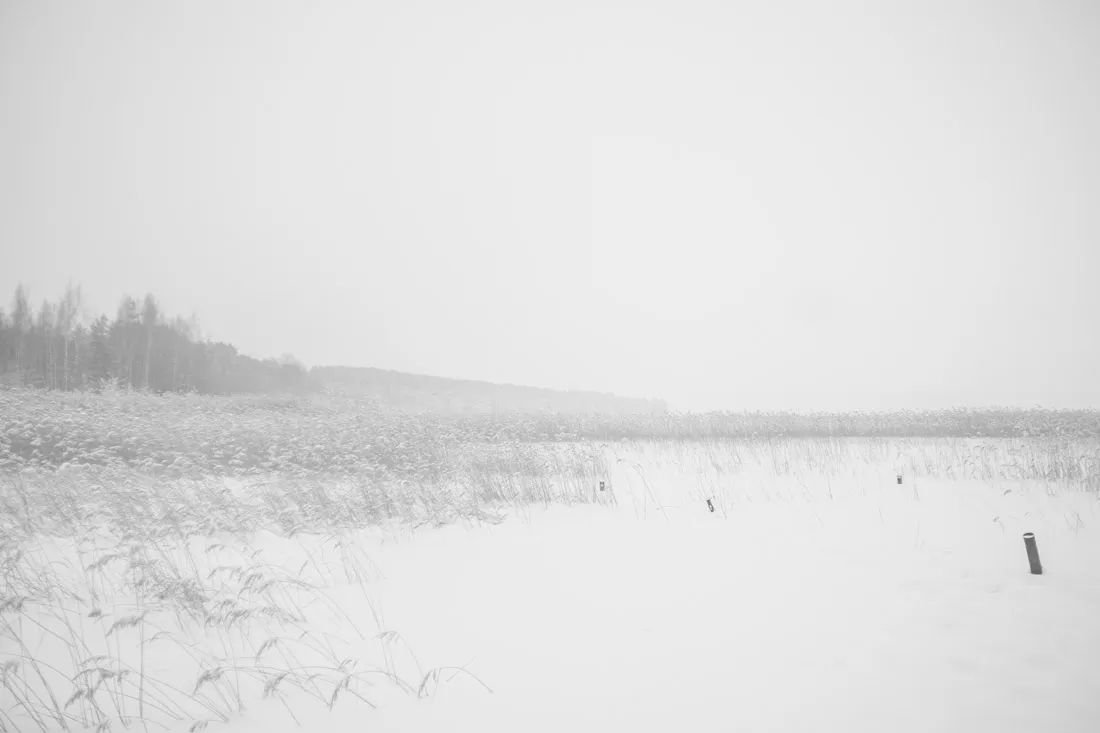 DSC08740.jpg