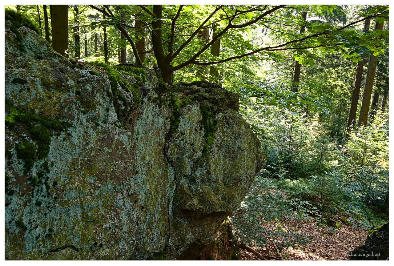 IMG_6053.png