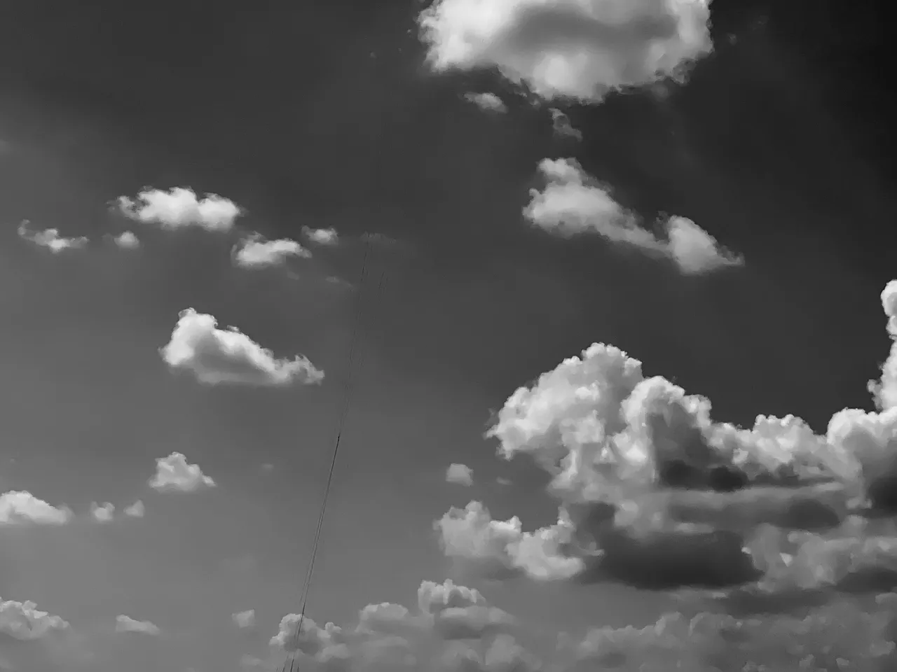 IMG-4635.jpg