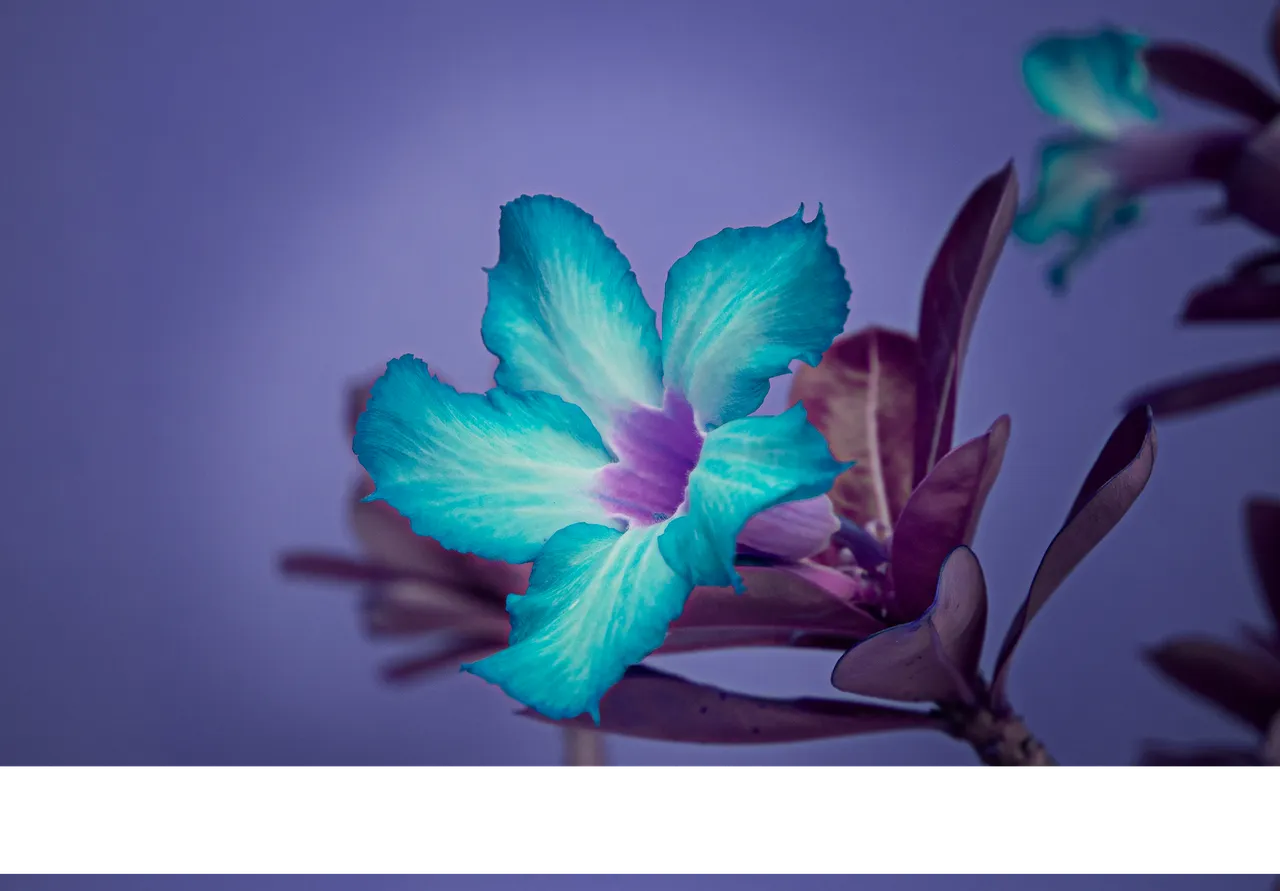 img_6286.png