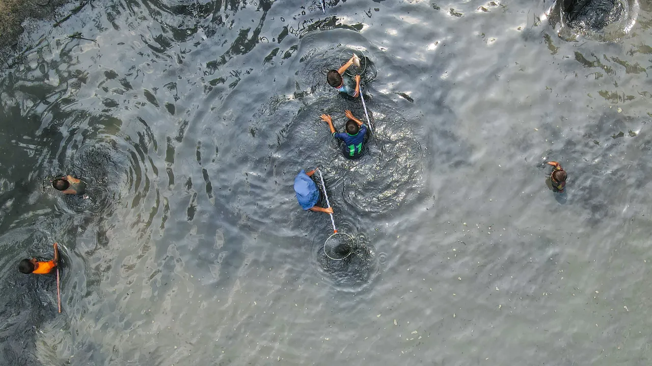 DJI_0224.JPG