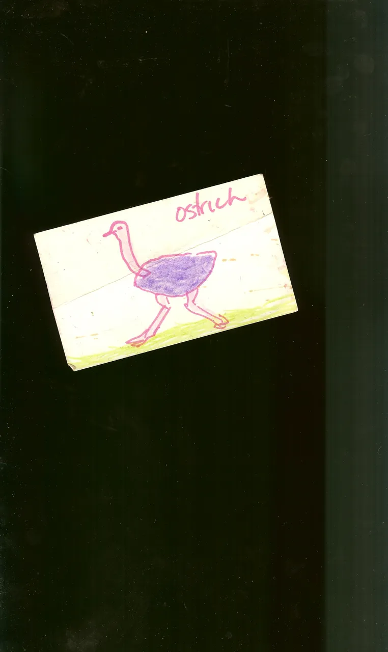 SCAN0248.JPG