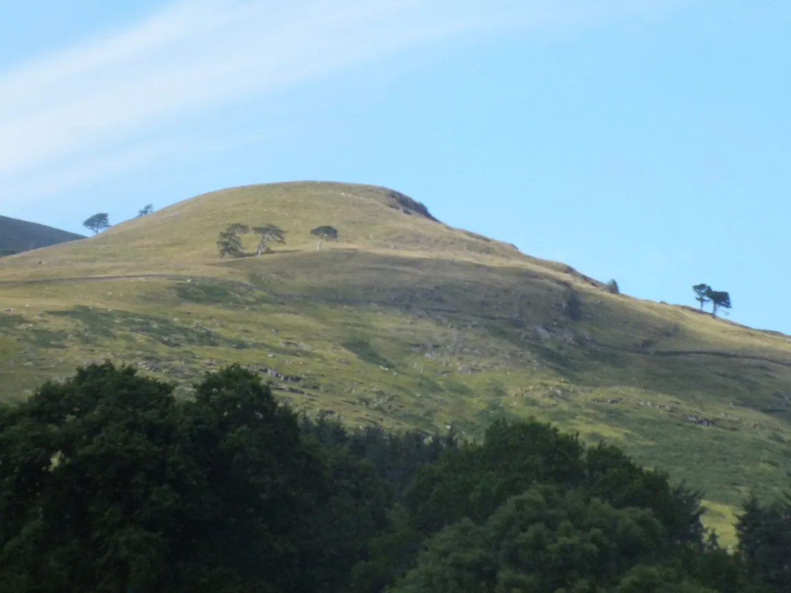 DSCF9438.JPG
