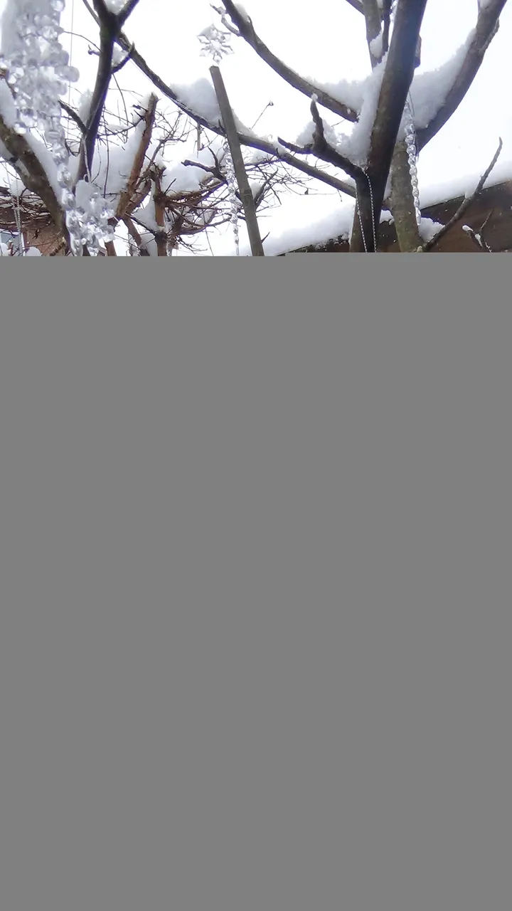 DSC01809.JPG