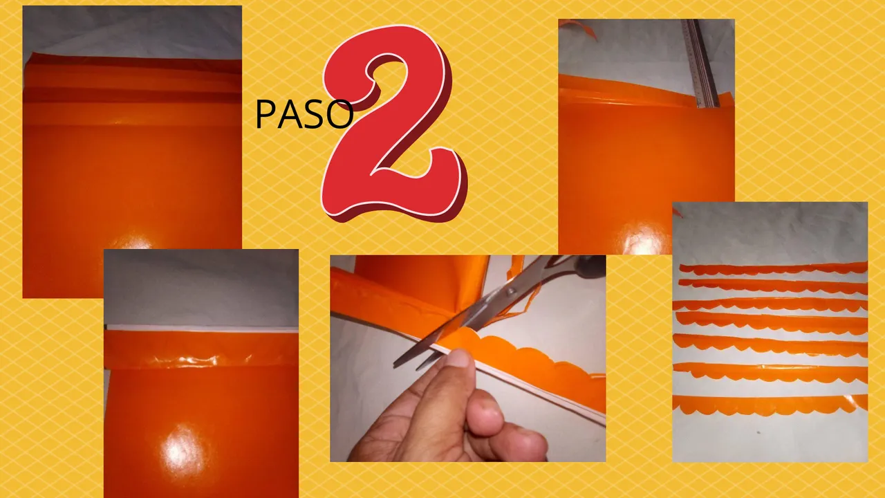 PASO (2).png