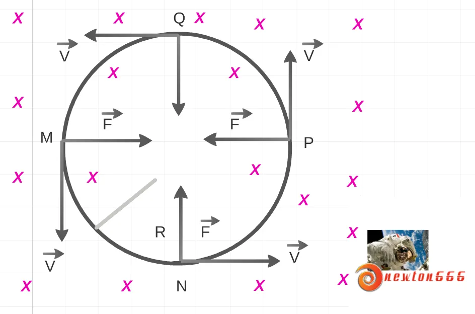 PARTICULA.png