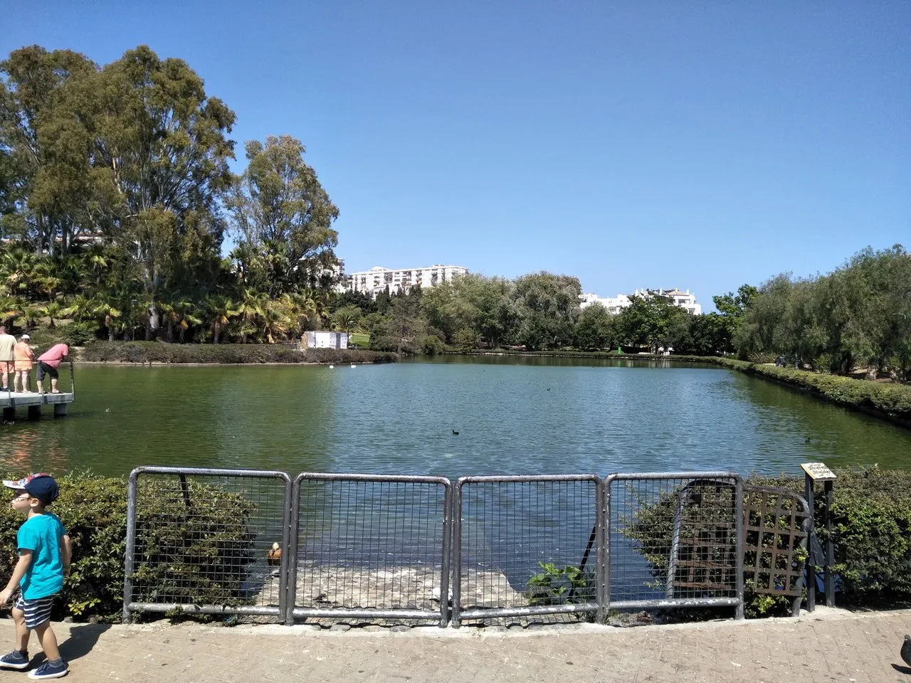 pond 1z.jpg
