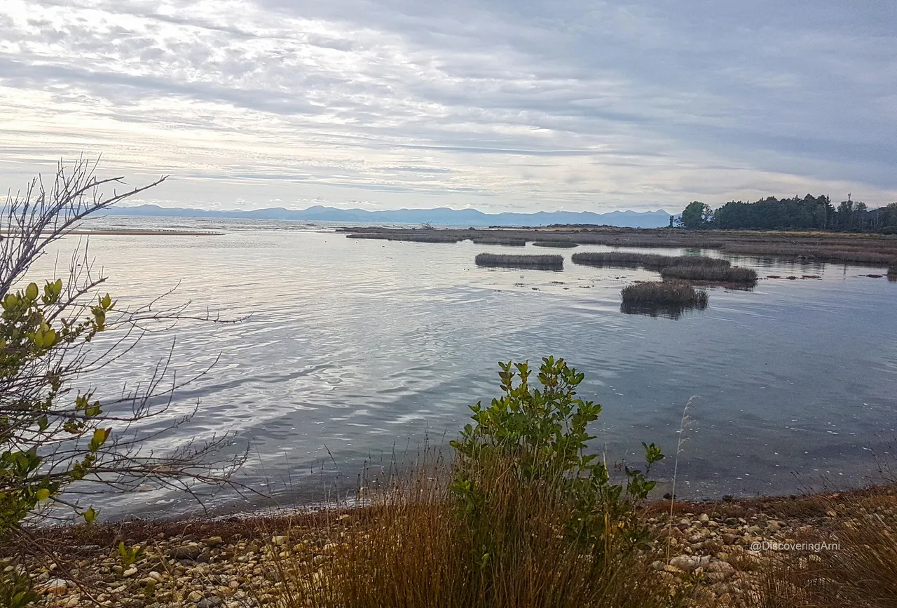 View at Marahau