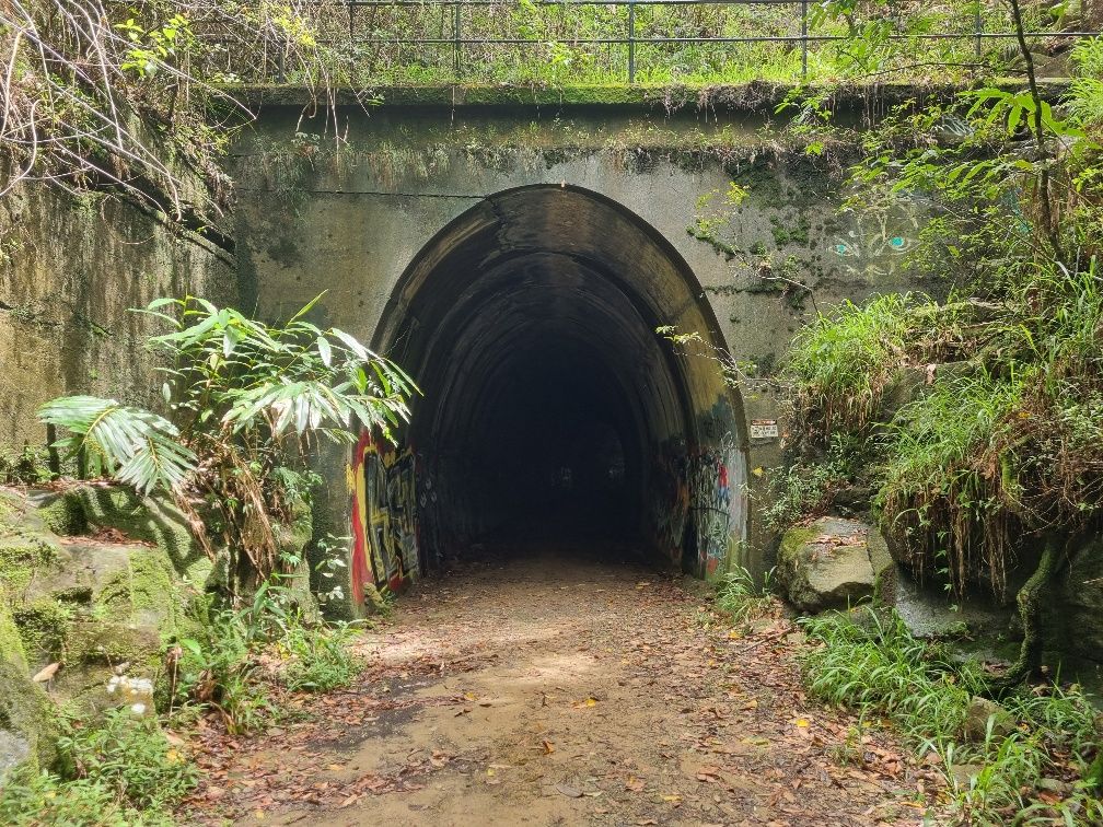 There was a bat colony inside the tunnel but it was hard to get a photo of them.