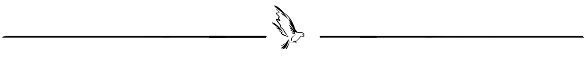 A dove_divider Right no bottom tiny right.png
