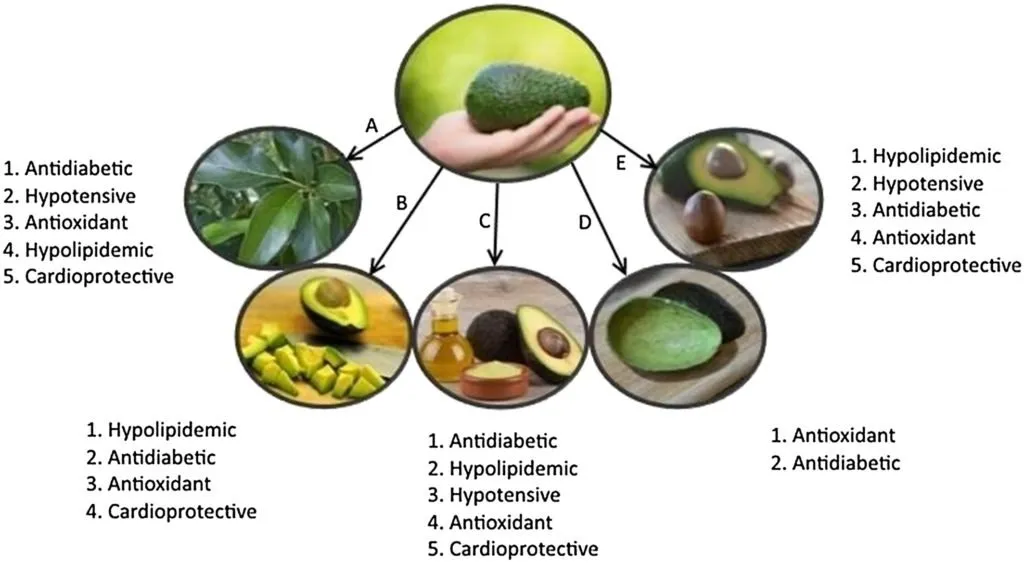 avocado benefits