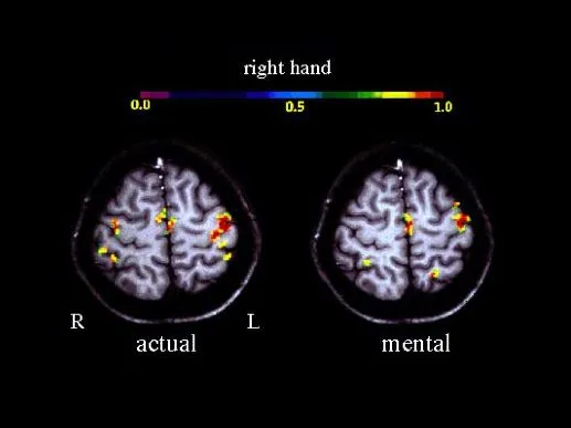 MY_fMRI.jpg