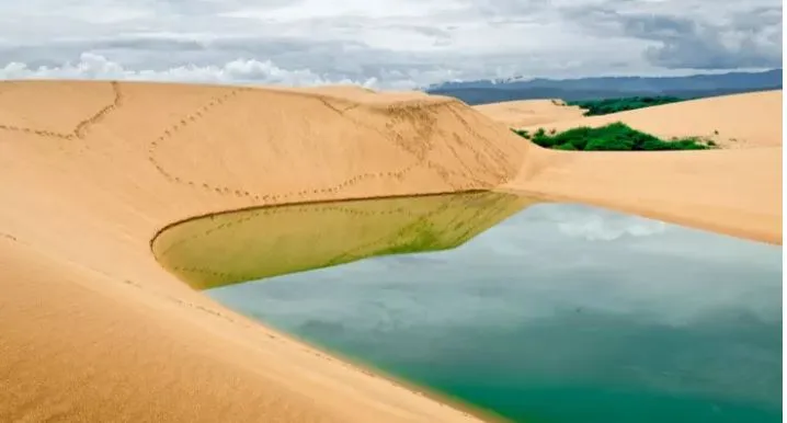 medanos.JPG