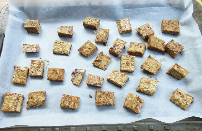 tempeh6.jpg