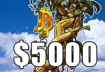 5000BTC.jpg