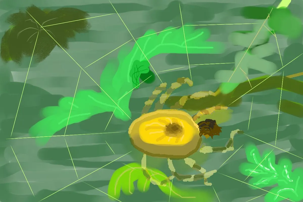 Spider1.jpg