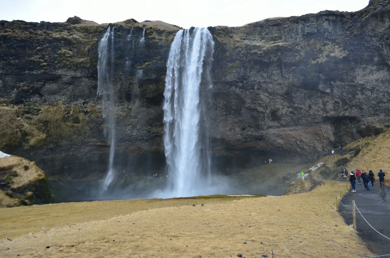 DSC_112.jpg