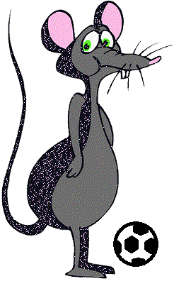 rat 2.gif