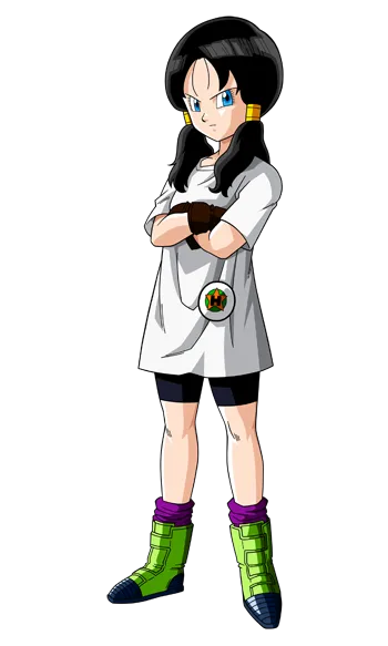 Videl-1.png