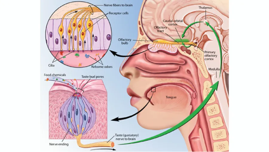 figure3.png