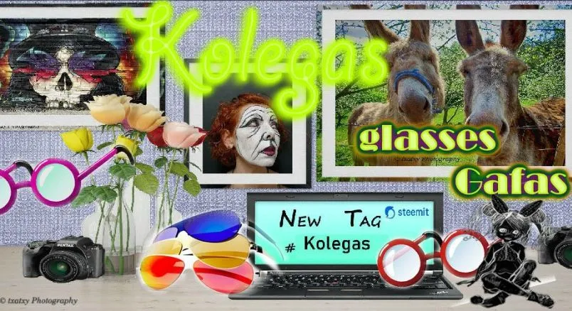 kolegas.jpg